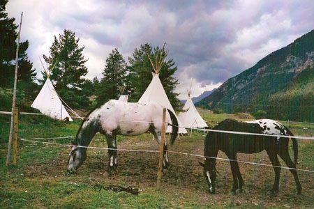 Les Poneys et le Campement