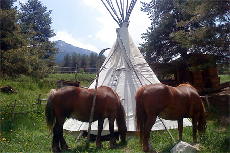 Les Poneys et le Campement