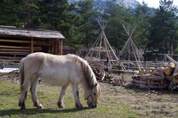 Le village des Alberts