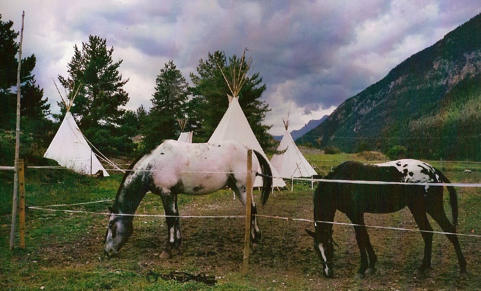 Les poneys du camp Anpta'Niya